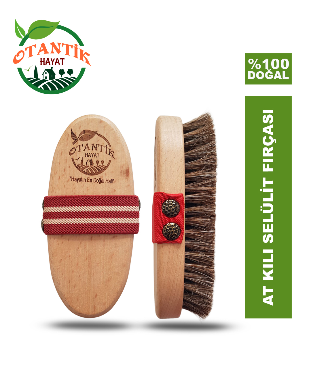 Siyah Selülit Fırçası Kahve